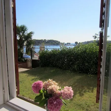 Istria Lila *